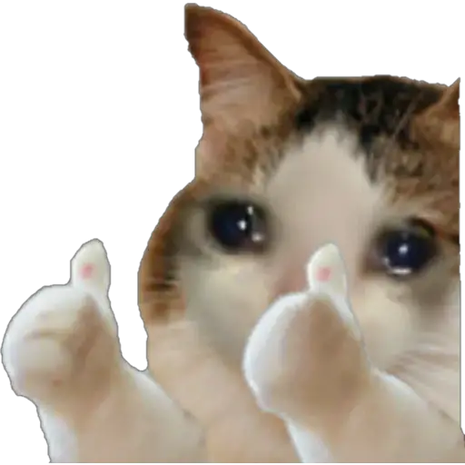 Stiker kucing terharu